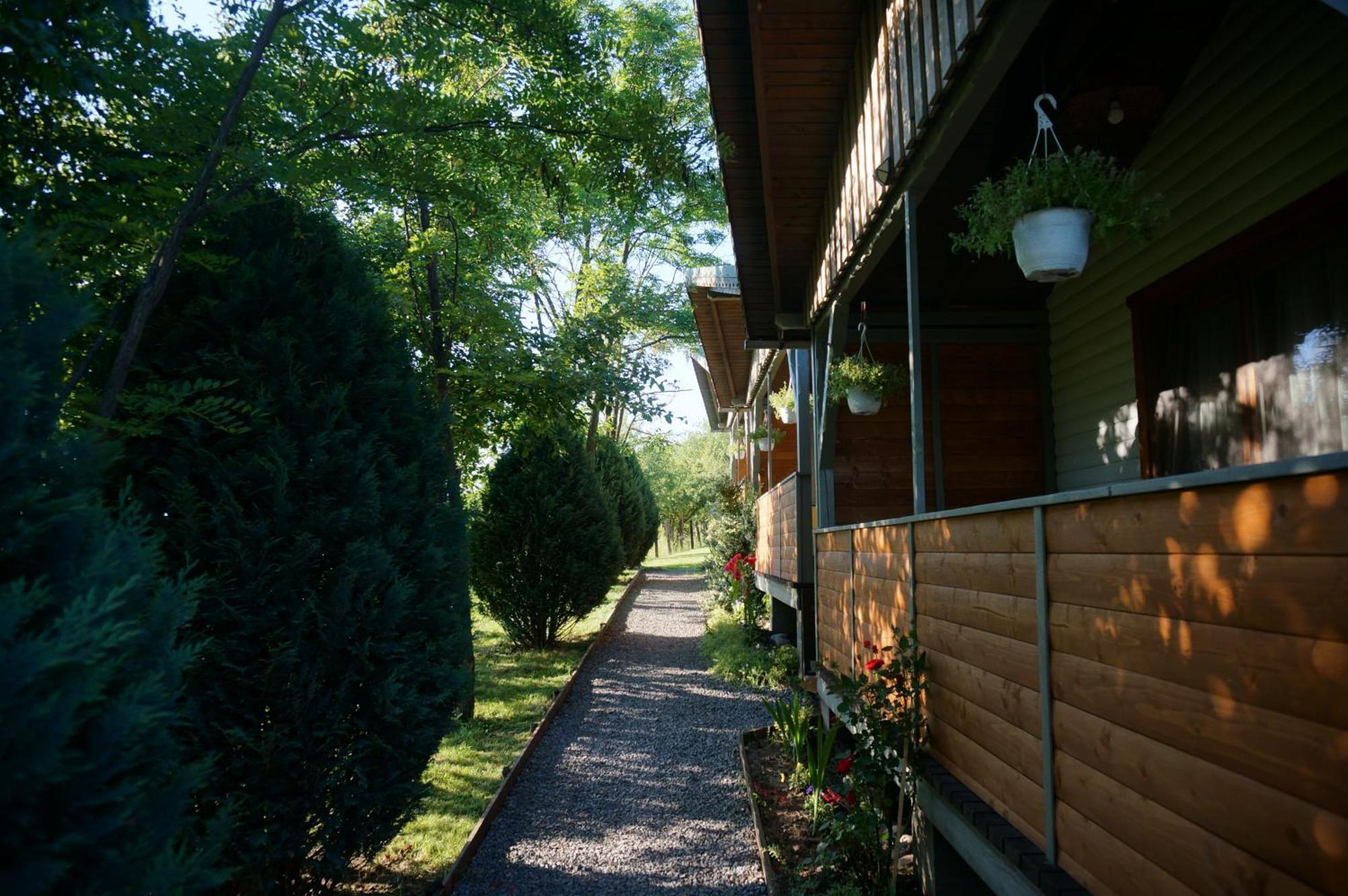 Natura Chalets เปรอิด ภายนอก รูปภาพ